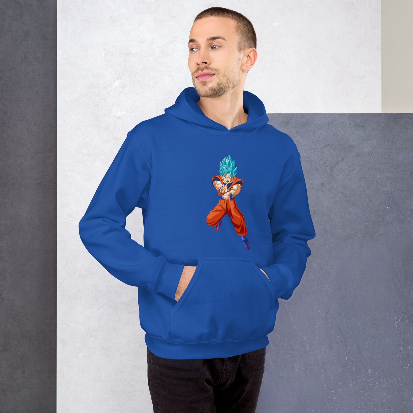 Dragon Ball X Animeon Hoodie